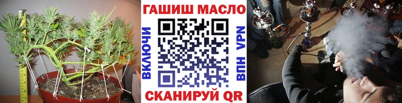 магазин    Челябинск  ТГК гашишное масло 