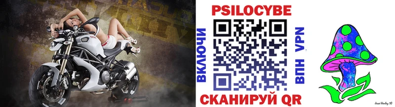 купить   Челябинск  блэк спрут сайт  даркнет телеграм  Галлюциногенные грибы GOLDEN TEACHER 